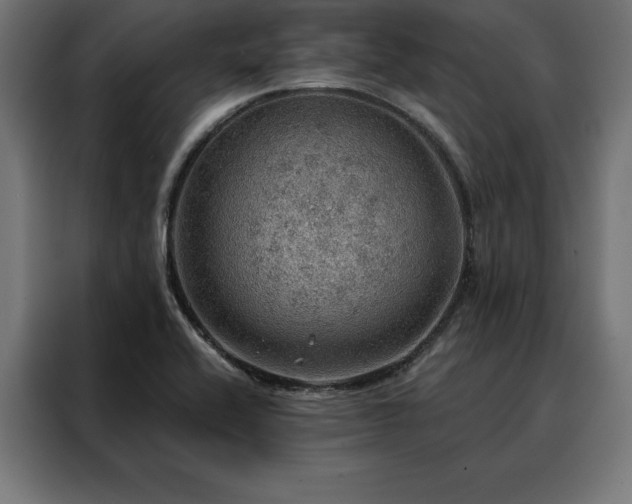 X0000088161416200705221551