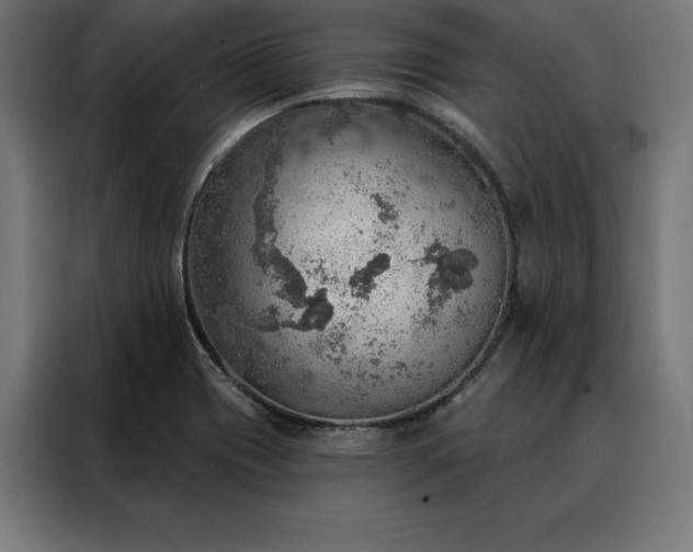 X0000088161417200705221551
