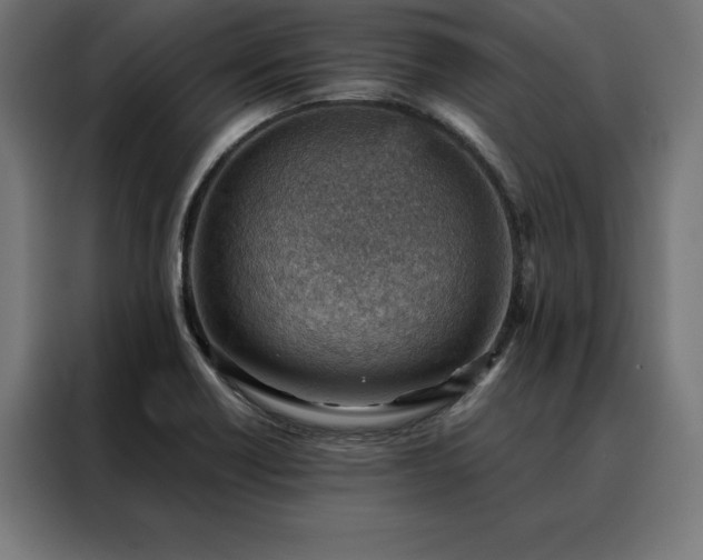 X0000088161418200705221551