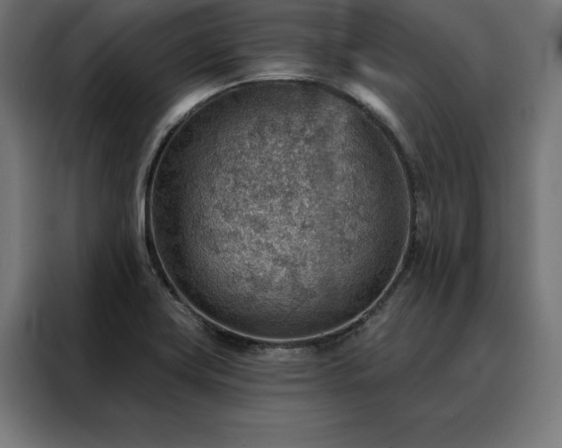 X0000088161419200705221552