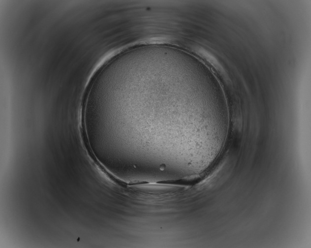X0000088161420200705221552
