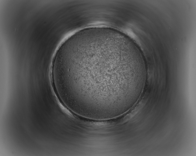 X0000088161421200705221552