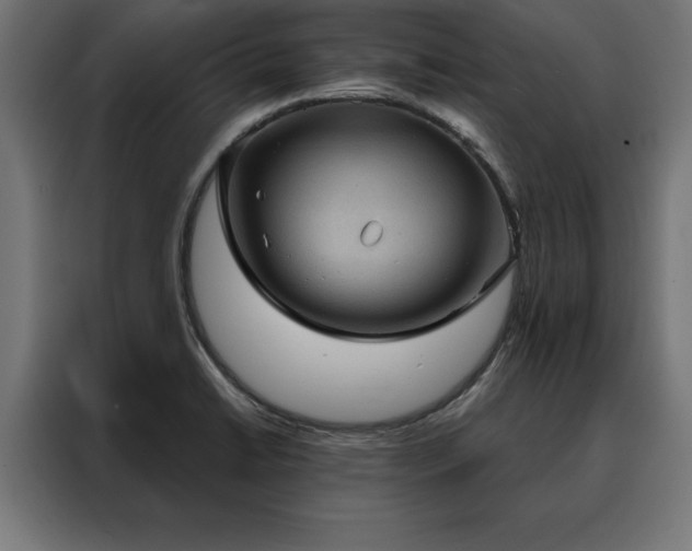 X0000088161422200705221552