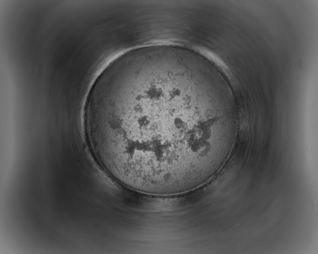 X0000088161423200705221552