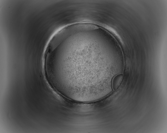X0000088161424200705221552