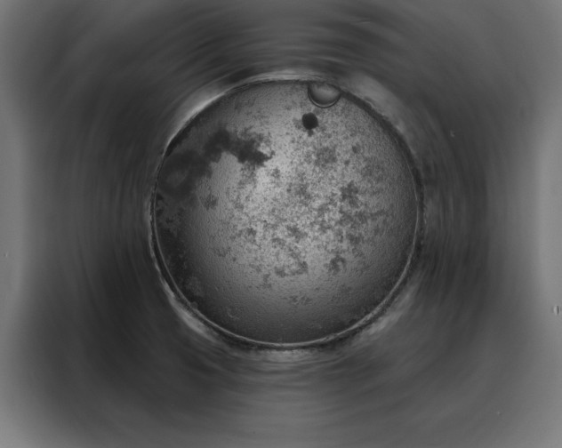 X0000088161425200705221552