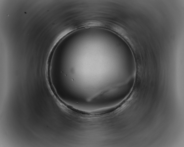 X0000088161426200705221552