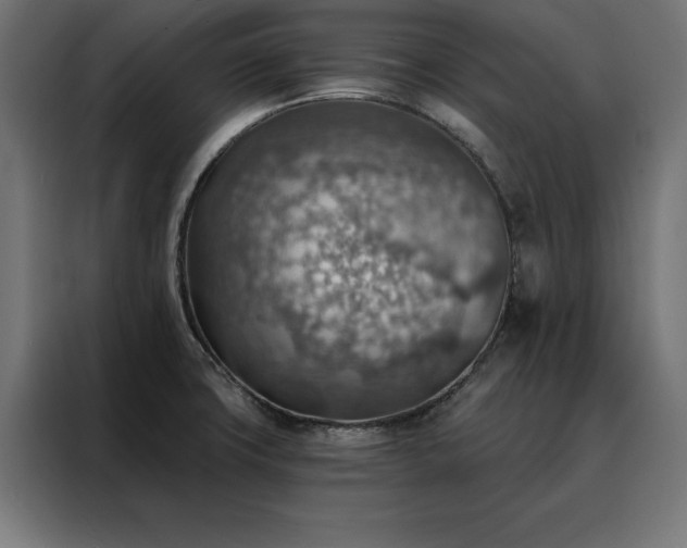 X0000088161427200705221552