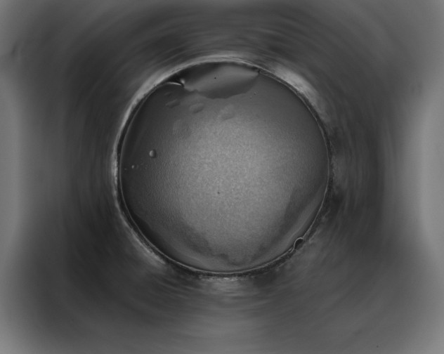 X0000088161428200705221552