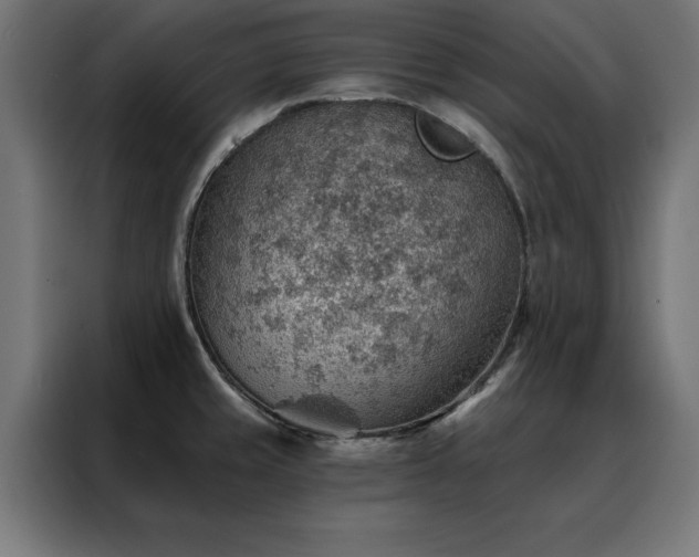 X0000088161429200705221552