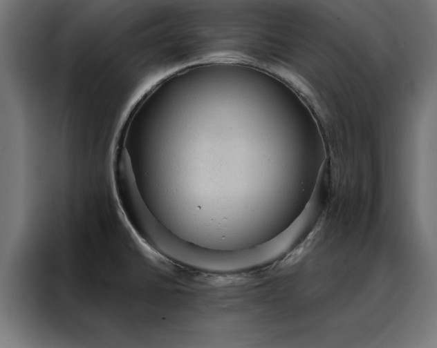 X0000088161430200705221552