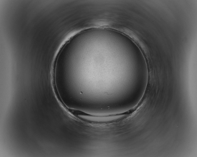 X0000088161432200705221552