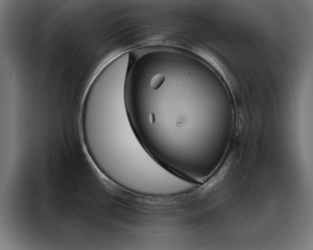 X0000088161434200705221552