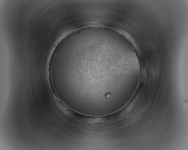 X0000088161435200705221552