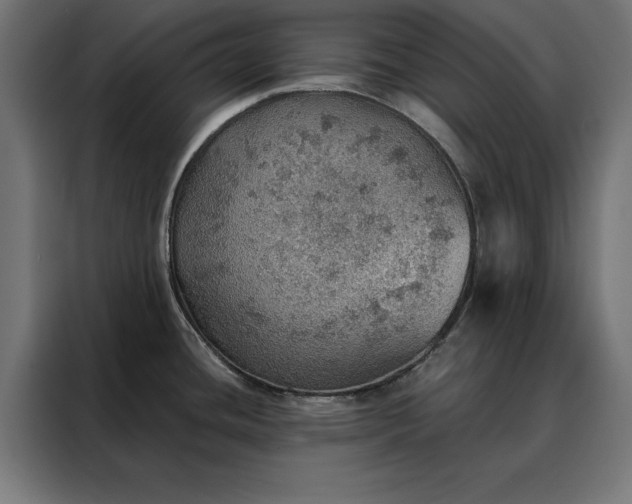 X0000088161436200705221552