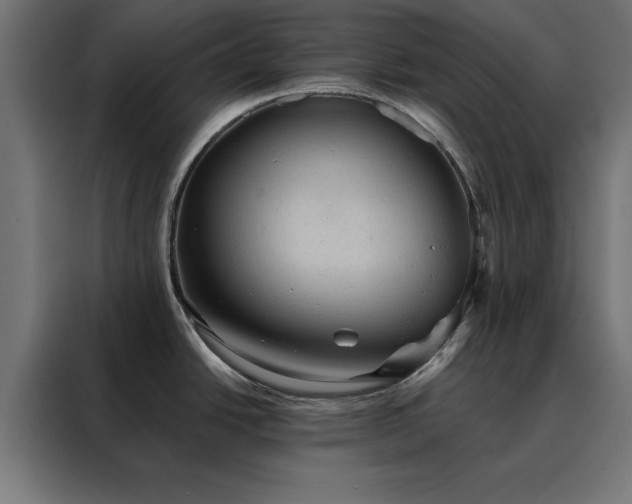 X0000088161438200705221552