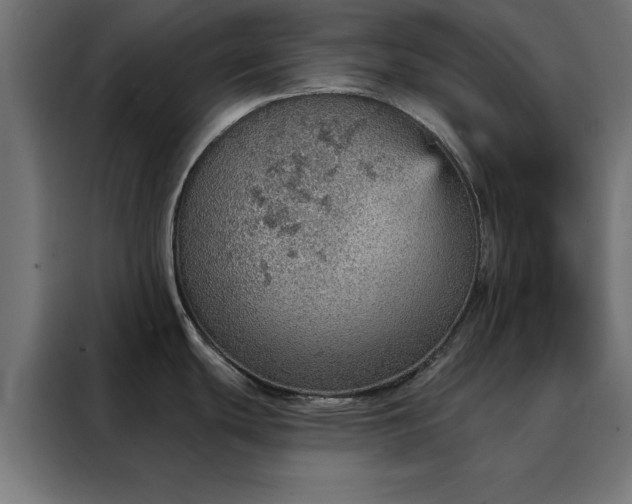 X0000088161439200705221552
