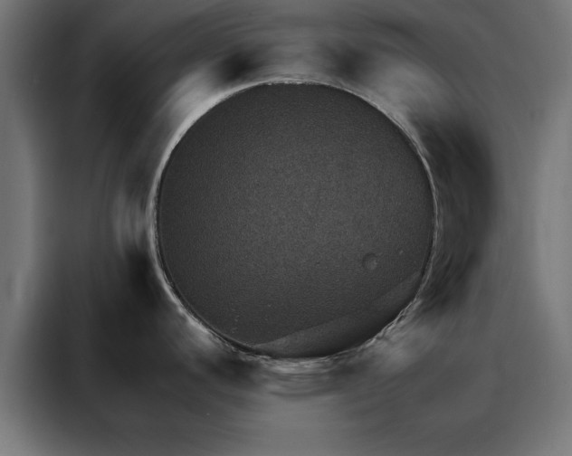 X0000088161440200705221552
