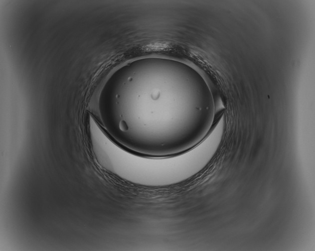 X0000088161441200705221551