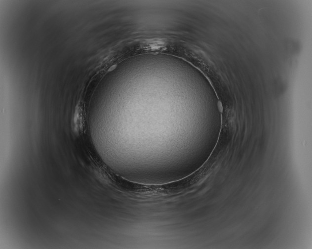X0000088161442200705221551