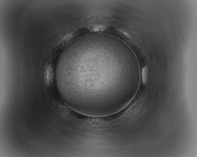 X0000088161443200705221551
