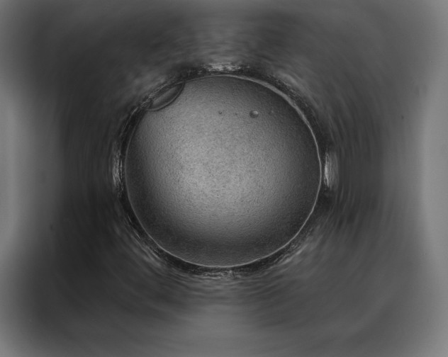 X0000088161444200705221551