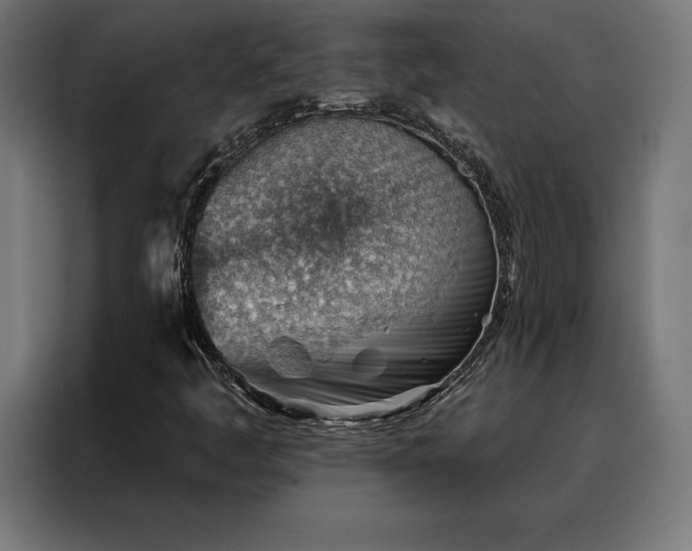 X0000088161445200705221551