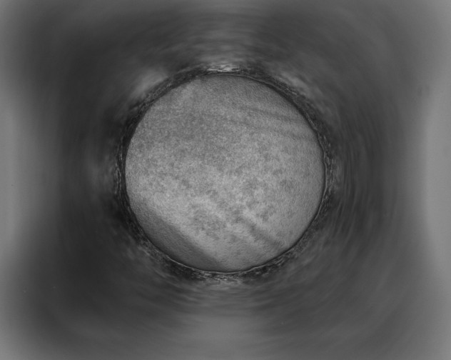 X0000088161446200705221551