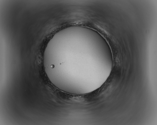 X0000088161447200705221551