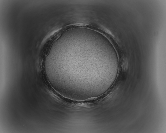X0000088161448200705221551