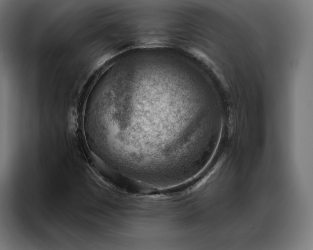 X0000088161449200705221551