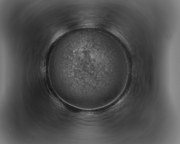 X0000088161450200705221551
