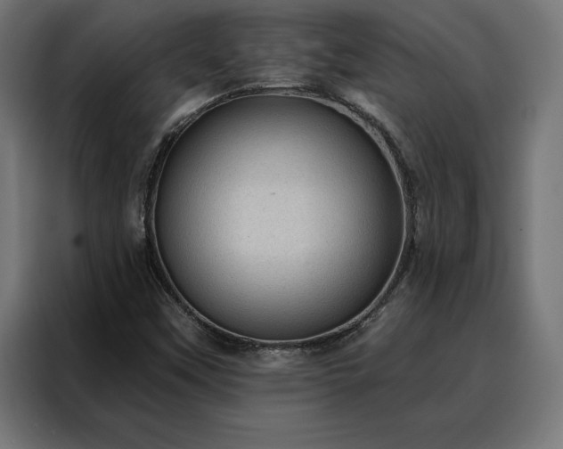X0000088161451200705221551