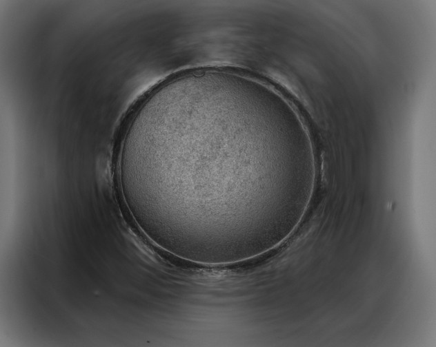 X0000088161452200705221551