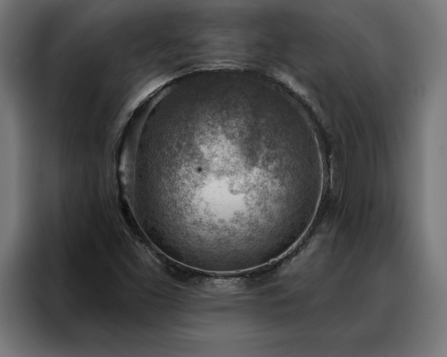 X0000088161453200705221551