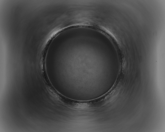 X0000088161455200705221551
