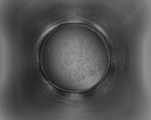 X0000088161456200705221551