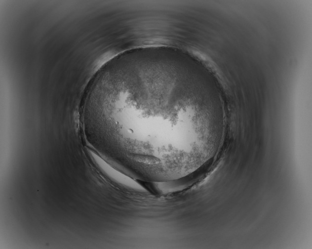 X0000088161457200705221551
