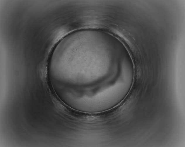 X0000088161459200705221551