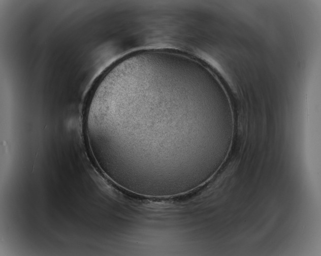 X0000088161460200705221551