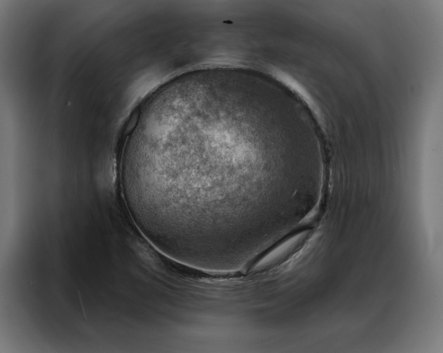 X0000088161461200705221551