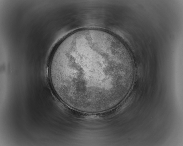 X0000088161462200705221551