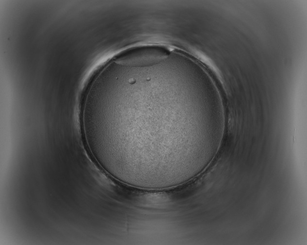 X0000088161464200705221551