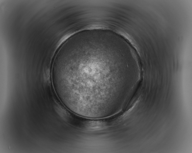X0000088161465200705221551