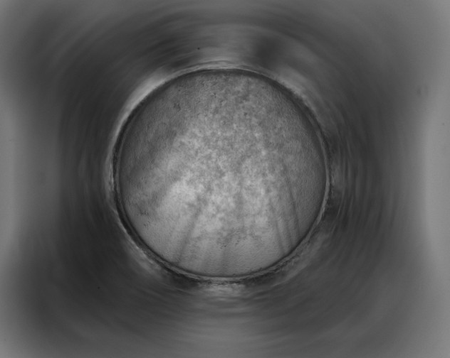 X0000088161466200705221551