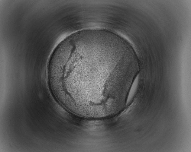 X0000088161467200705221551