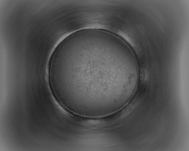 X0000088161468200705221551
