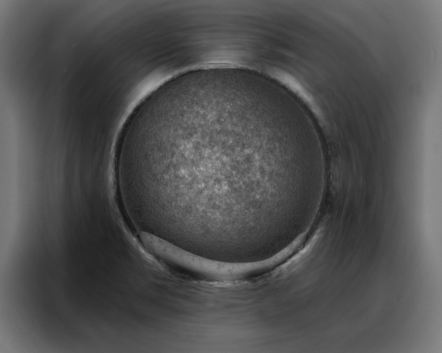 X0000088161469200705221551