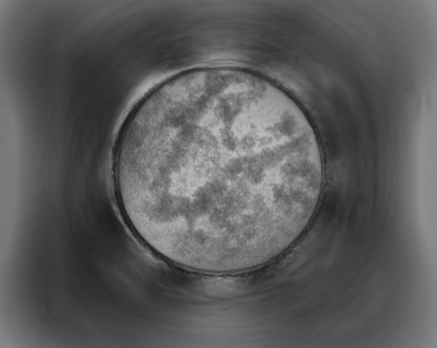 X0000088161470200705221551