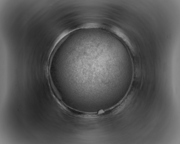 X0000088161473200705221551